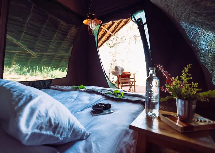 Maji Moto Eco Camp