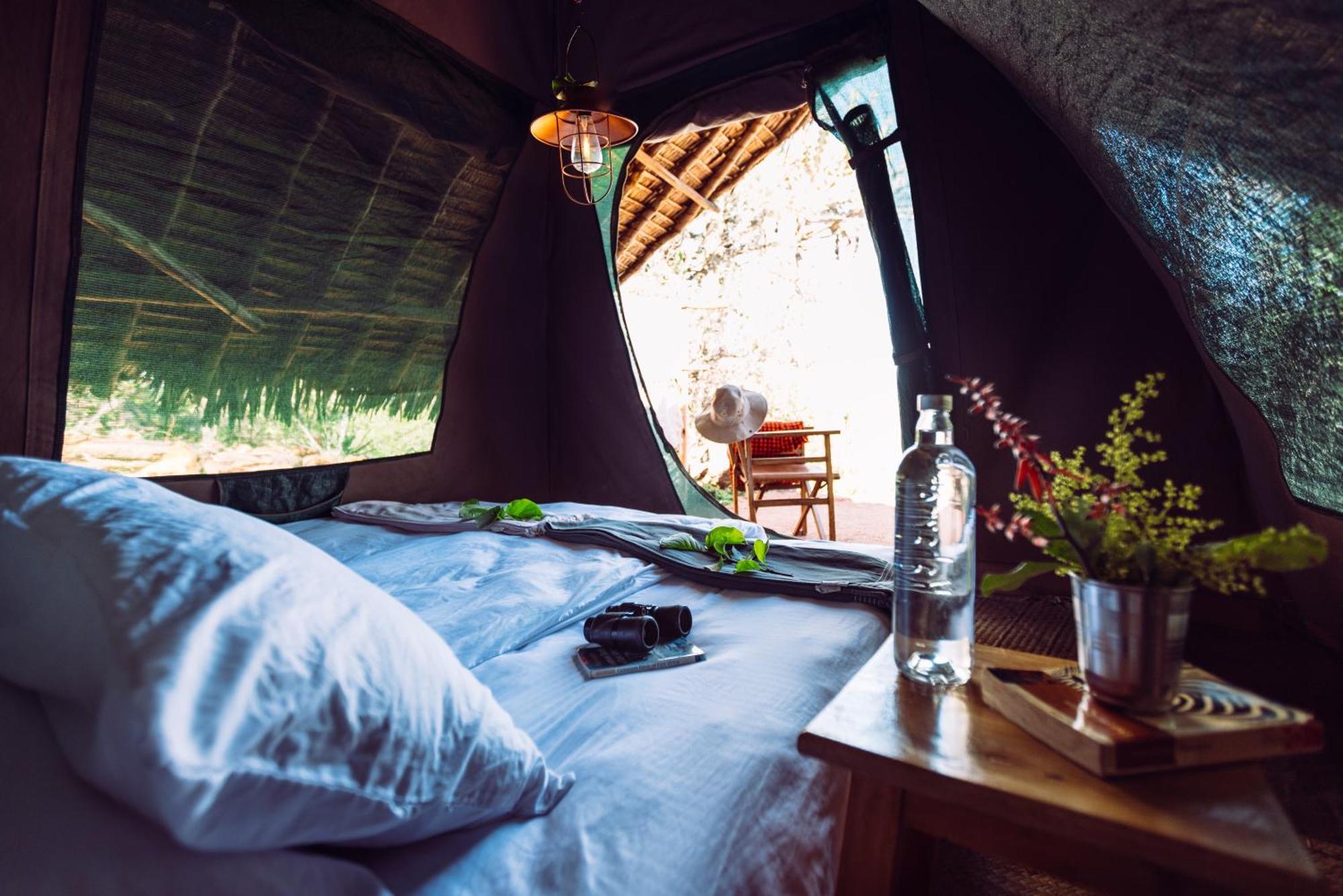 Luxury tent Eco Camp 3*